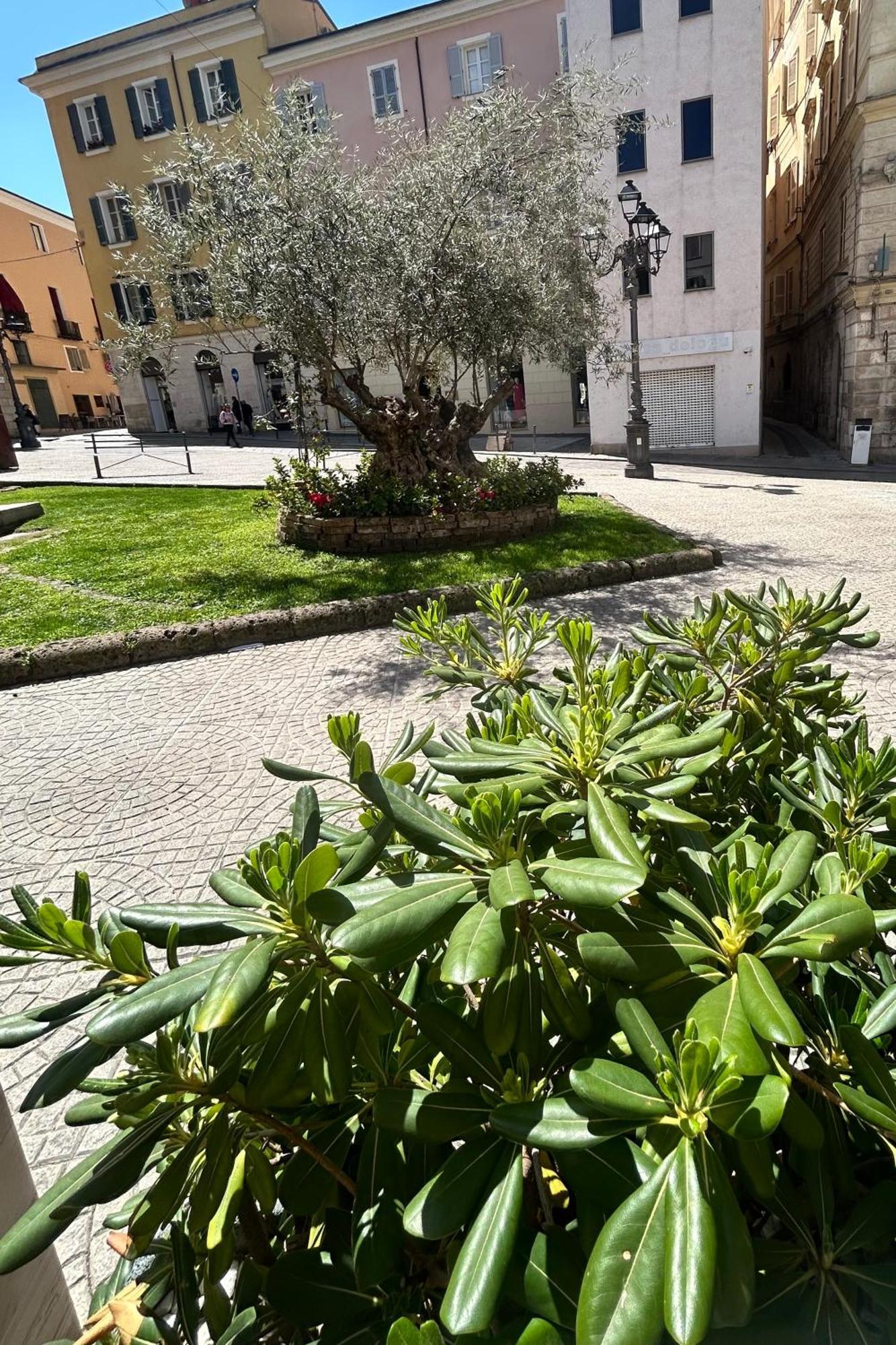Mariposa Sassari Apartment Exterior photo